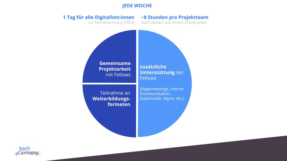 Kreisdiagramm zur Aufteilung der Arbeit bei Tech4Germany